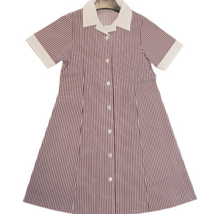 Girl Fit Summer Dress year 3-6