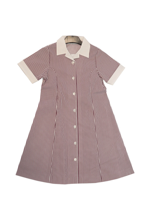 Girl Fit Summer Dress year 3-6