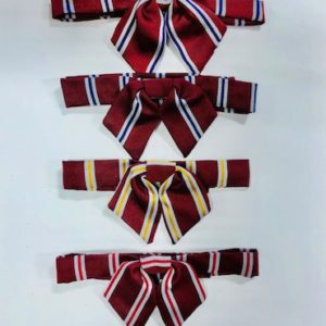 House Cravat Girl Fit