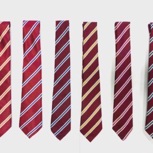 Prep House Tie (Unisex)
